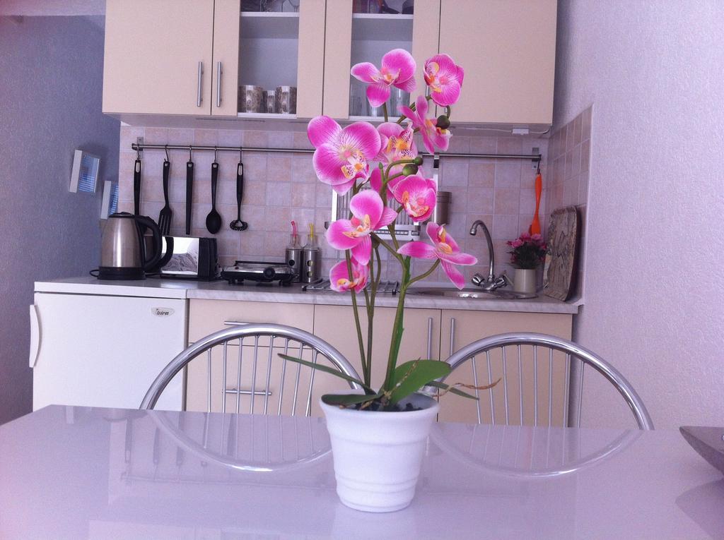 Apartment Elma فيسوكو المظهر الخارجي الصورة