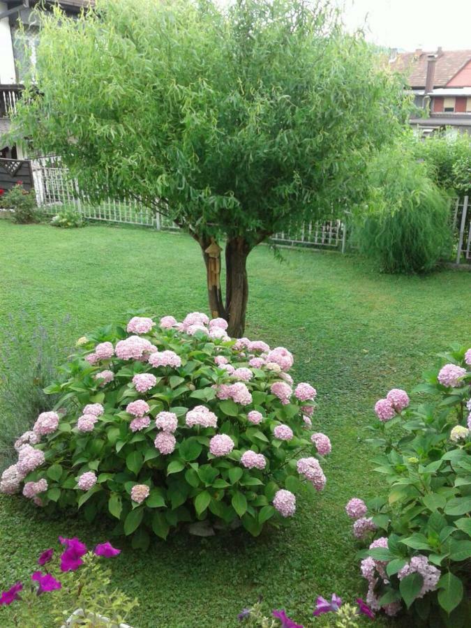 Apartment Elma فيسوكو المظهر الخارجي الصورة